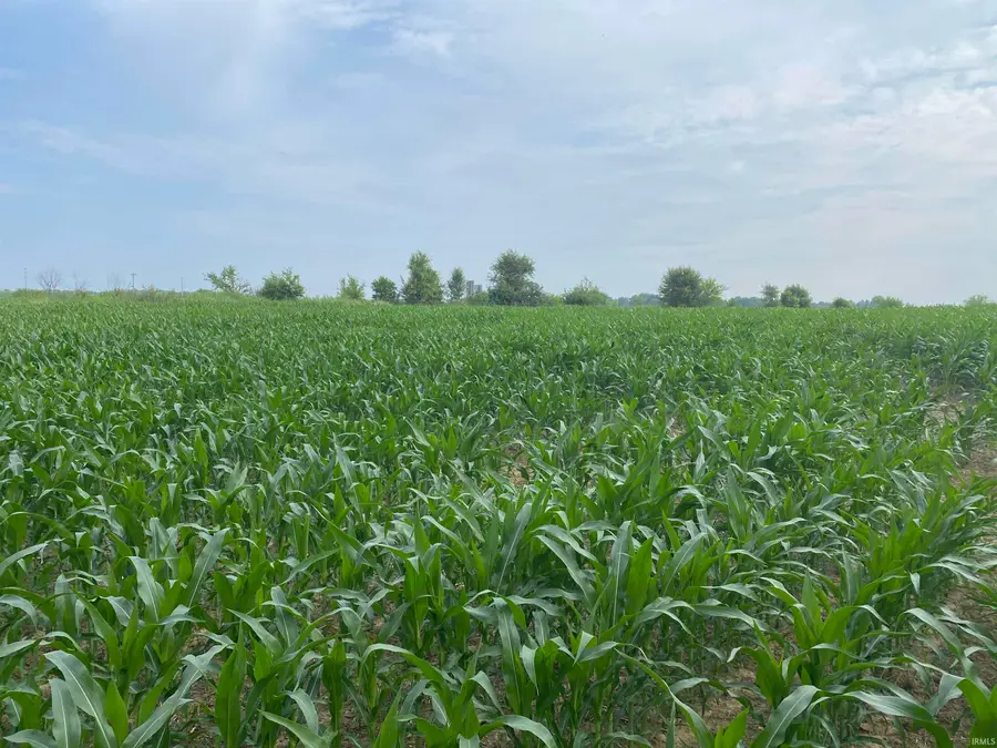 Co Rd 175 E, Petersburg, IN 47567 - Image #2