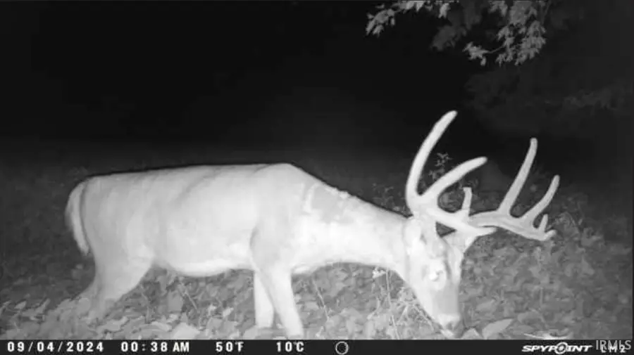 S 1850 W Road, Griffin, IN 47616 - Image #3