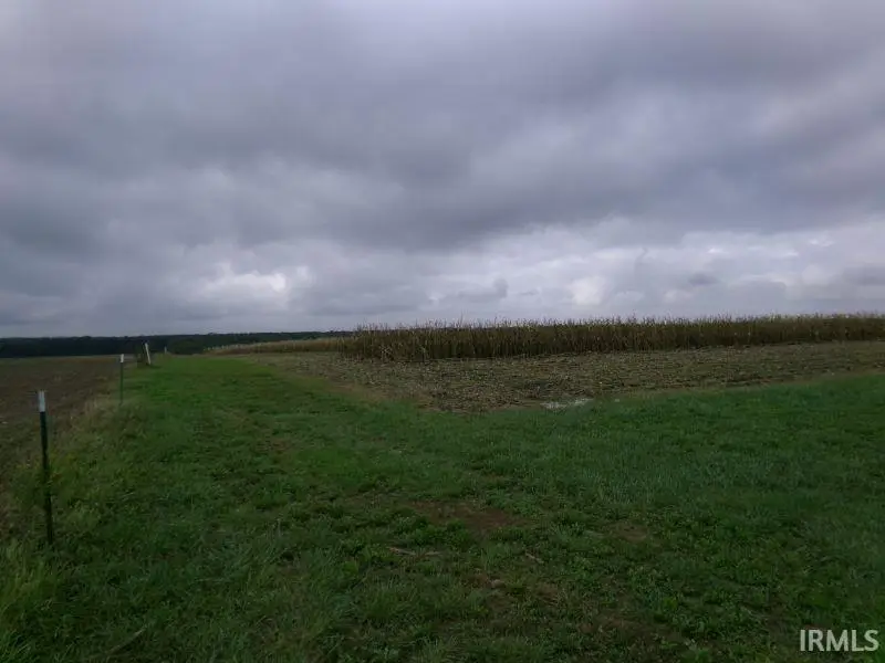 0 950 S Road, Elberfeld, IN 47613 - Image #2