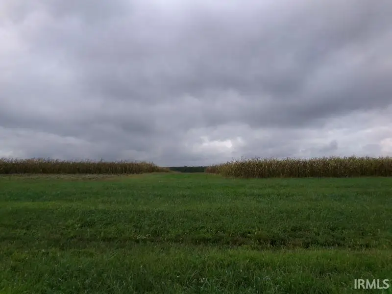 0 950 S Road, Elberfeld, IN 47613 - Image #3