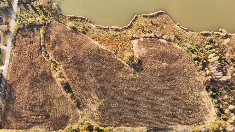 off County Road 1150 S, Spurgeon, IN 47584 - Image #3