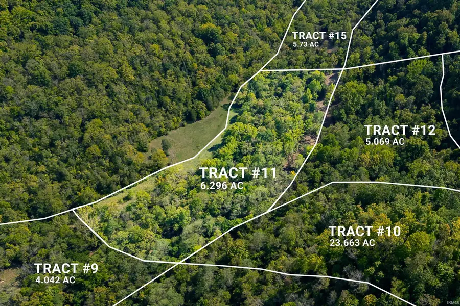 Tract 11 N State Road 156 Road, Patriot, IN 47038 - Image #3