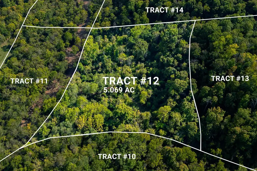 Tract 12 N State Road 156 Road, Patriot, IN 47038 - Image #2