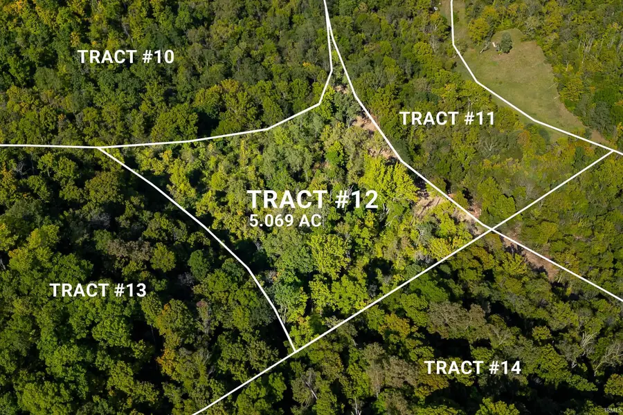 Tract 12 N State Road 156 Road, Patriot, IN 47038 - Image #3
