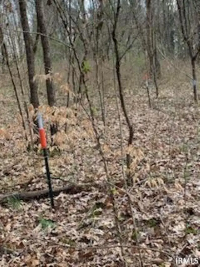 14050 Leopold Road, Leopold, IN 47551 - Image #3