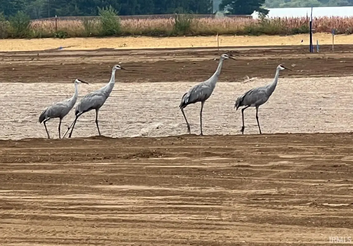 10996 Conrad Creek Court, Spencerville, IN 46788 - Image #1