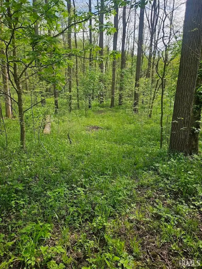 36.65 Acres E St Rd 14, Silver Lake, IN 46982 - Image #3