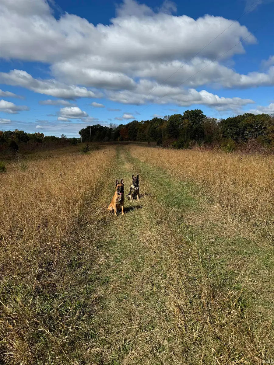 13494 E St. Rd. 54 Highway, Springville, IN 47462 - Image #2