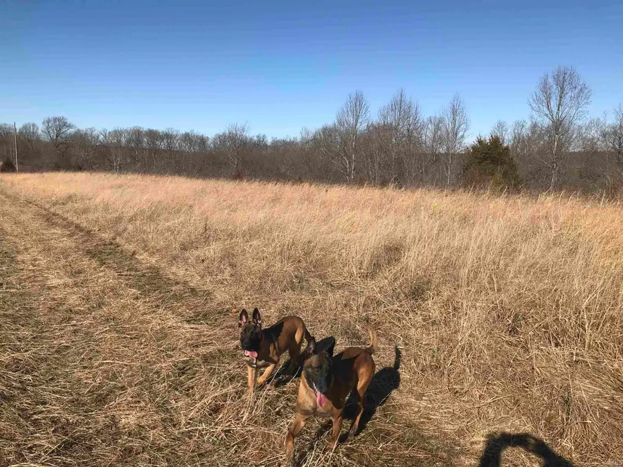 13494 E St. Rd. 54 Highway, Springville, IN 47462 - Image #3