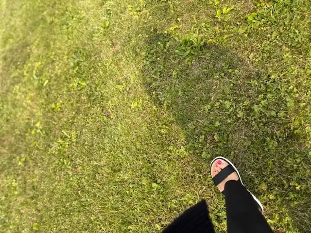 1918 S Harrison Street, Fort Wayne, IN 46802 - Image #3