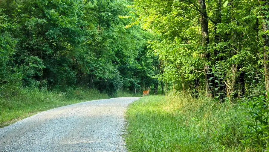 6400 E Prong Road, Madison, IN 47250 - Image #3