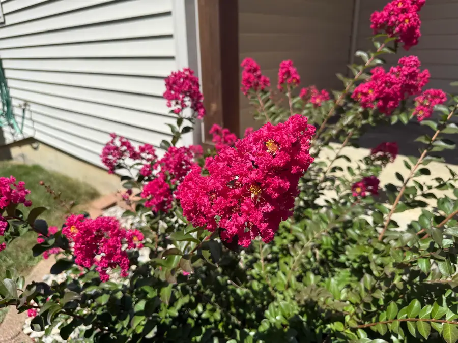 602 Nancyk Crossing, Roanoke, IN 46783 - Image #2