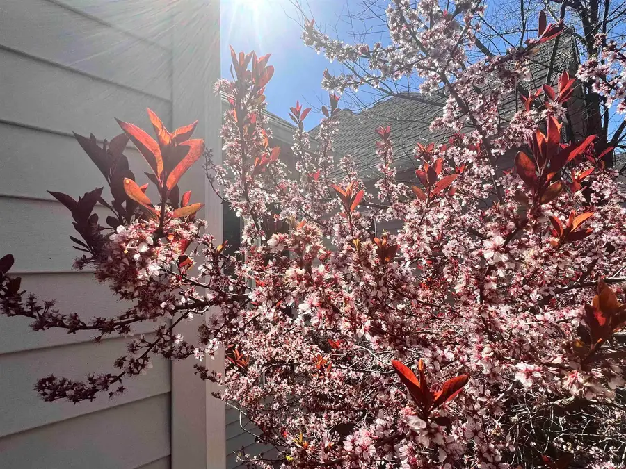 1010 S 8th Street, Terre Haute, IN 47807 - Image #3