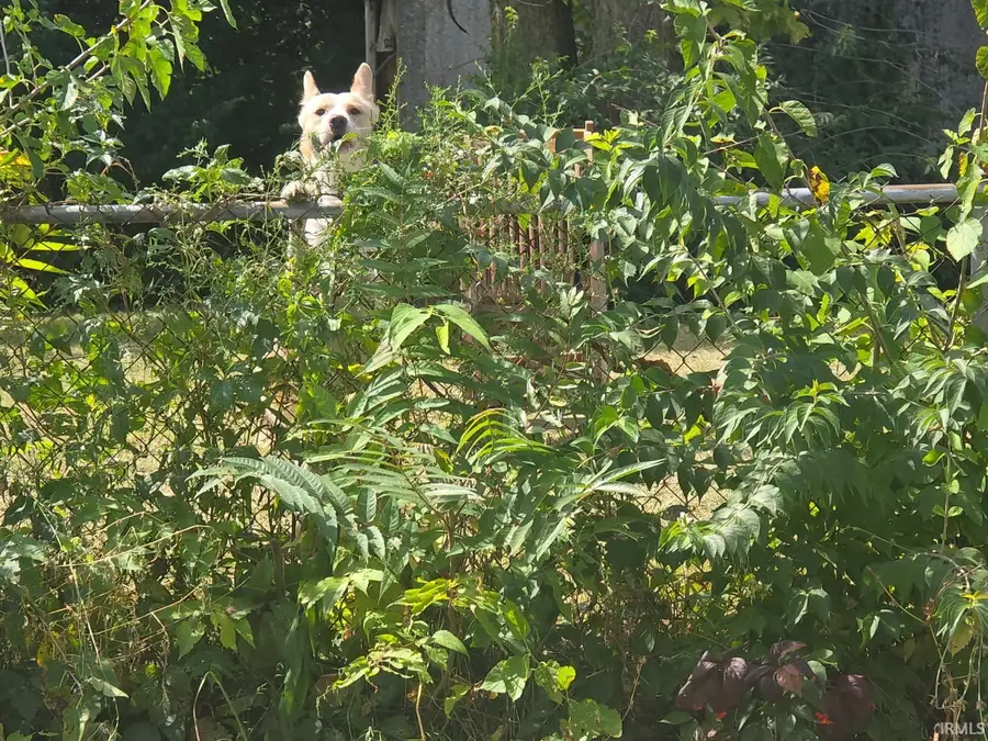 1712 S Meridian Street, Marion, IN 46953 - #2