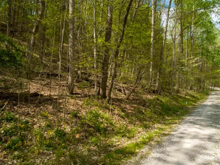 8608 E Bay Street, Nashville, IN 47448 - Image #3