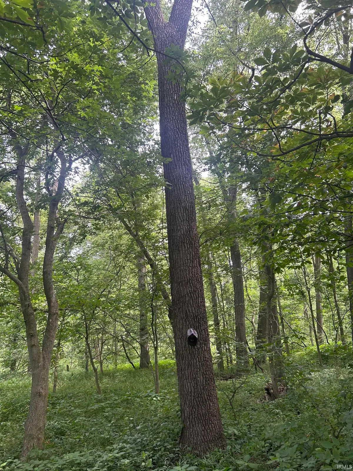 W 900 Highway, Franklin, IN 46131 - Image #1