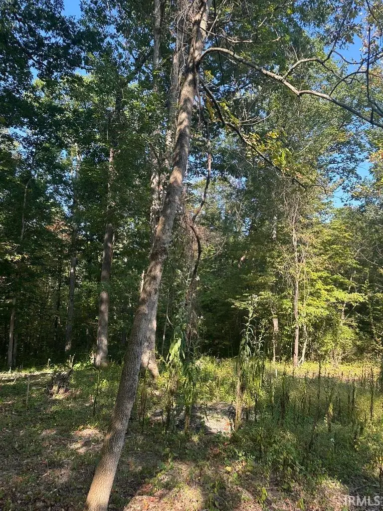 00 State Road 135 N. Road, Nashville, IN 47448 - Image #2