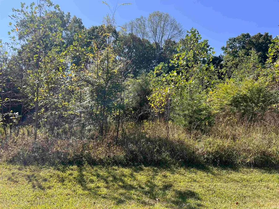 Lakeview Drive, Celestine, IN 47521 - Image #2