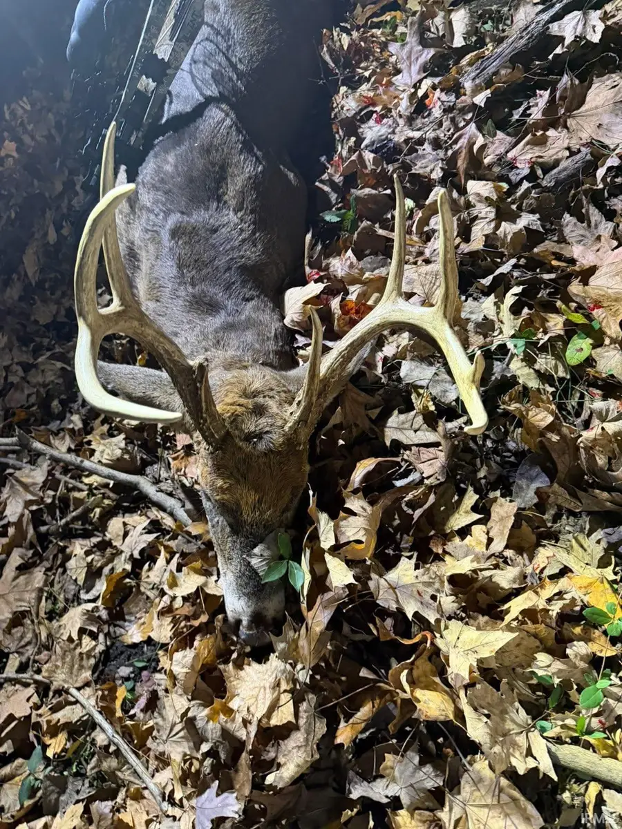 Co Rd 1100 S Road, Stendal, IN 47585 - Image #3