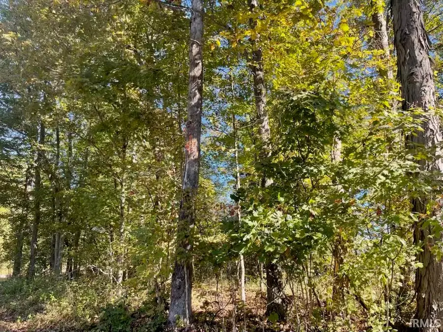 TBD Ditney Ridge Road (12acres), Bedford, IN 47421 - Image #2