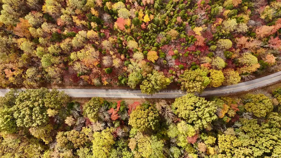 off N St Peters Church Road, Evanston, IN 47531 - Image #2