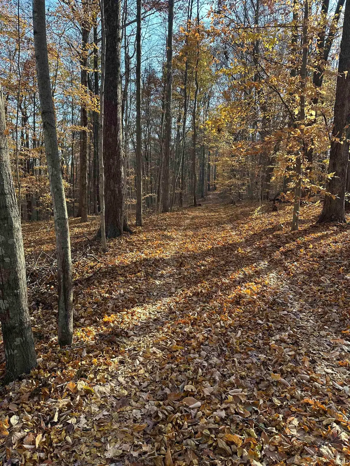 0000 S 1175 Road, Cloverdale, IN 46120 - Image #1