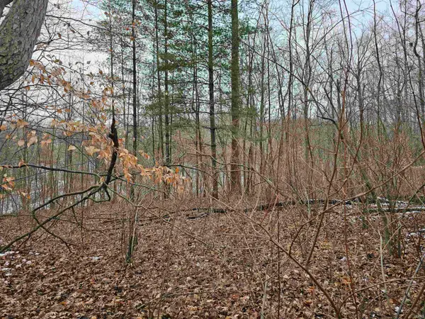 S Ridgeview Way Lot 93, Logansport, IN 46947