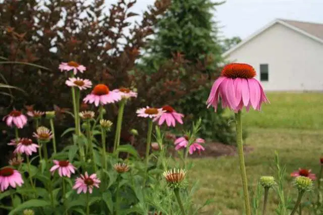 2271 Highlander Drive, Warsaw, IN 46580 - Image #2