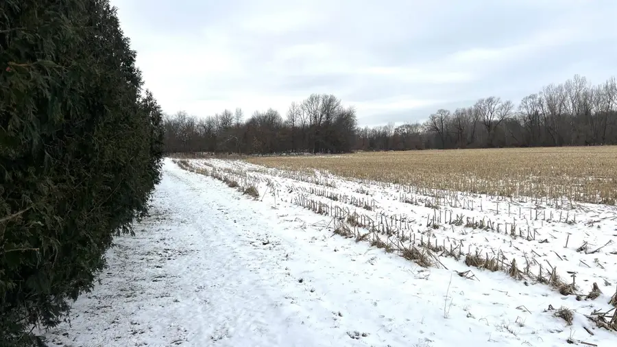 2403 Cr 19 Road, Waterloo, IN 46793 - Image #3