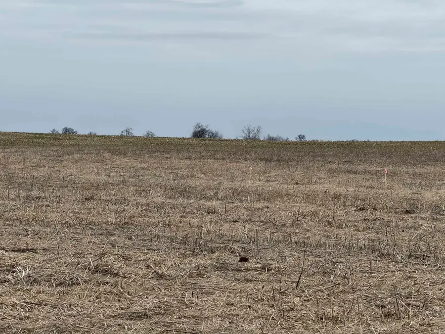 Lot 4 Cr 925, Haubstadt, IN 47639 - #2