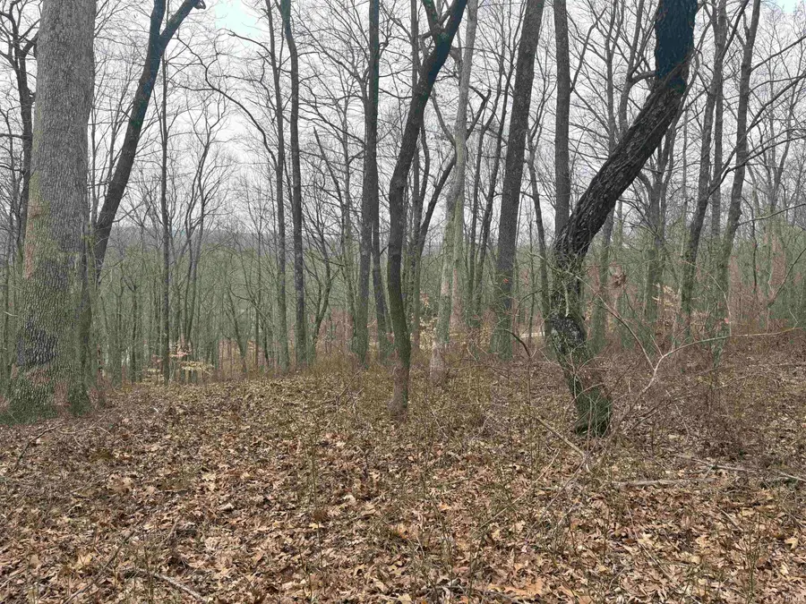 Campton Road, Birdseye, IN 47513 - #3