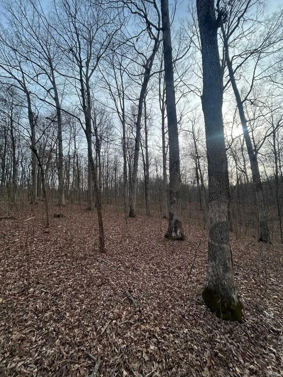 0 CR N 1200 Road, Lincoln City, IN 47552 - #2