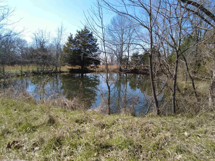 1733 Stumphole Bridge Road, Williams, IN 47470 - #3