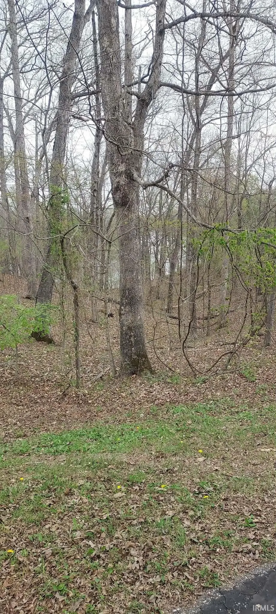 Lots 20A & 21 Hickory Ridge Lane, Huntingburg, IN 47542 - #1