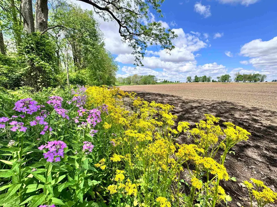 4681 N 350 W, Lebanon, IN 46052 - #3