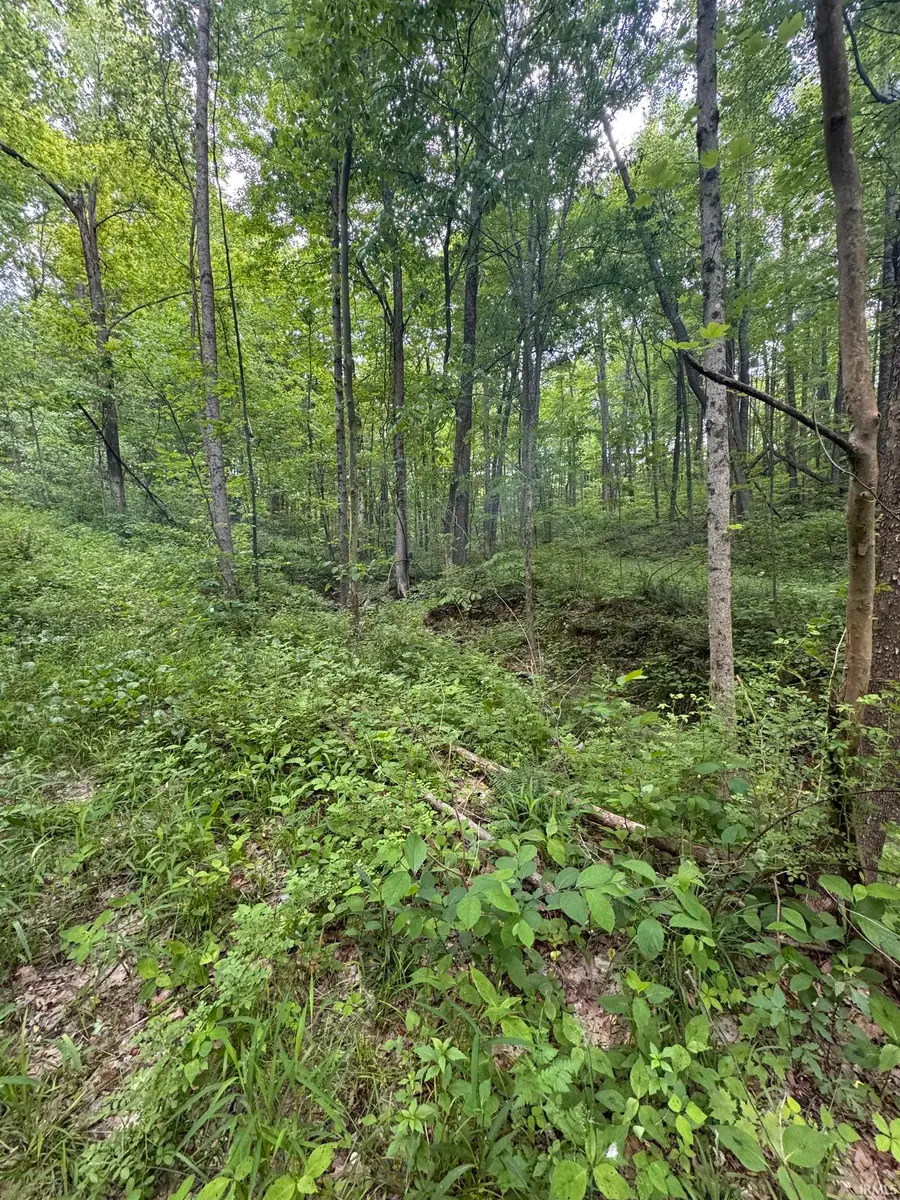 6620 W Duvall Street, Bloomington, IN 47403 - #3