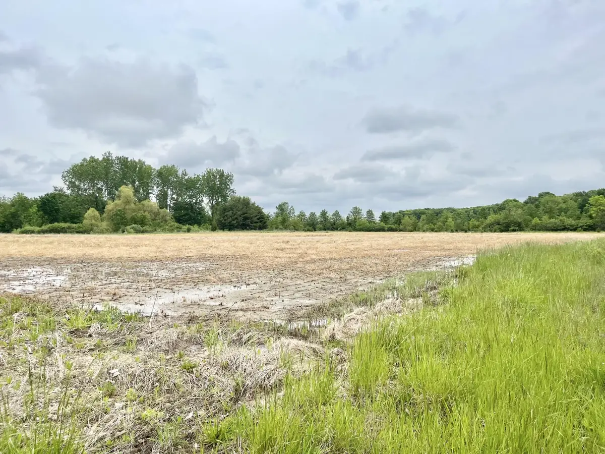 10265 S 600 E-92 Road, Roanoke, IN 46783 - #1
