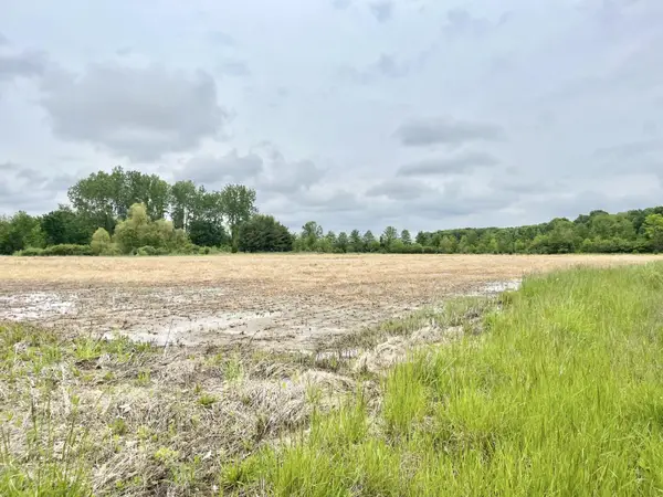 10265 S 600 E-92 Road, Roanoke, IN 46783