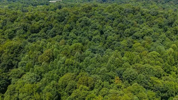 Lot 14 Bell Hollow Road, Cannelton, IN 47520