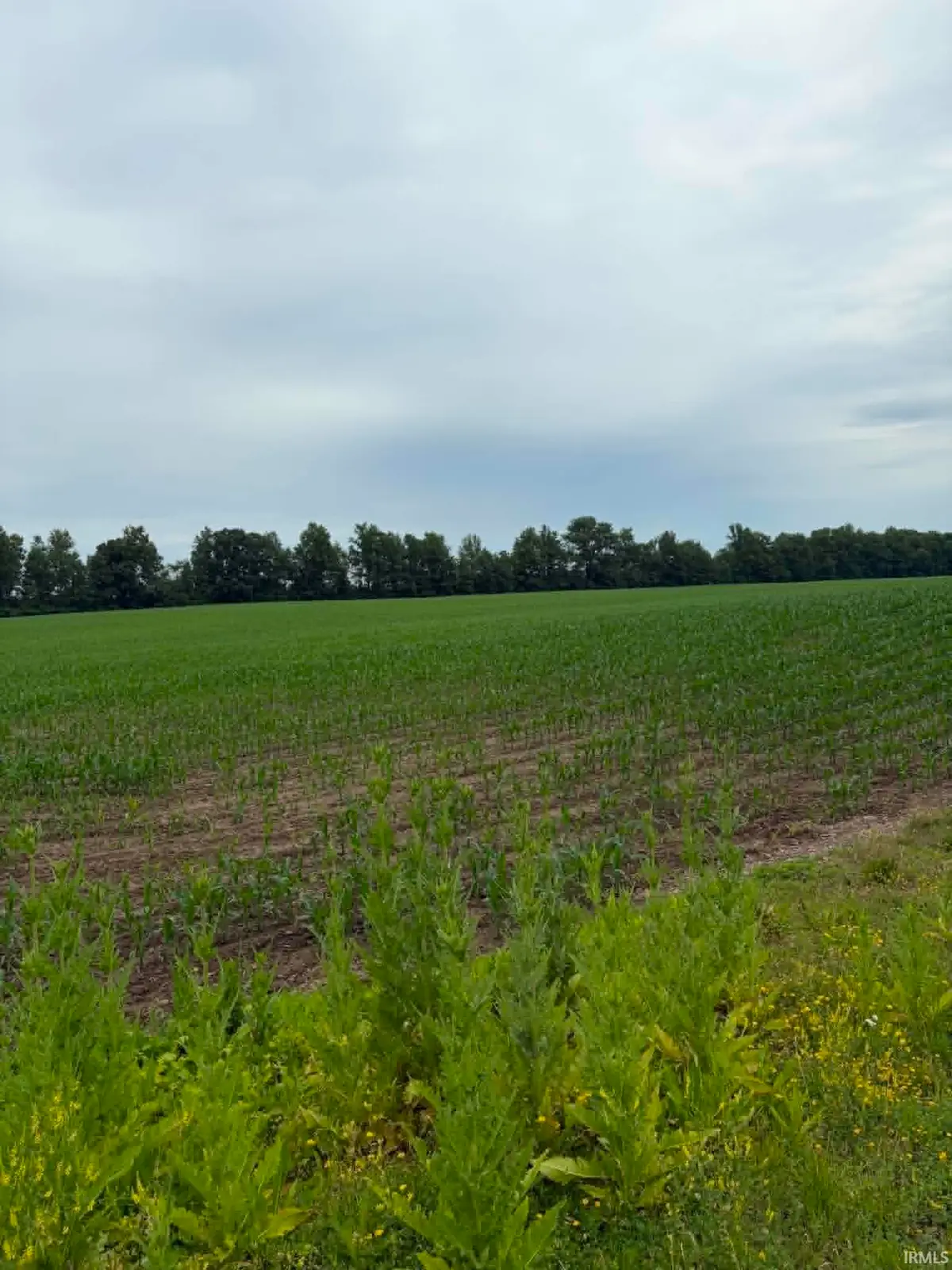8501 Decatur Road, Fort Wayne, IN 46816 - #1