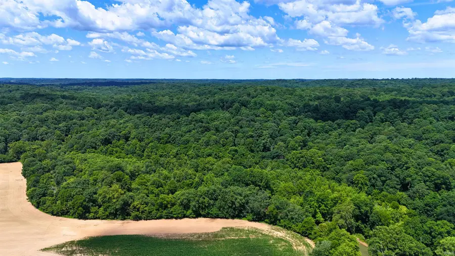28 Acres 8669 Bird Lane, Shoals, IN 47581 - #3