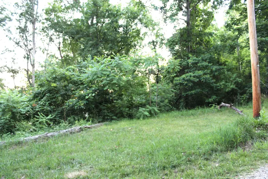 Lots 396 & 397 Ln 415 A Jimmerson Lake, Fremont, IN 46737 - #2