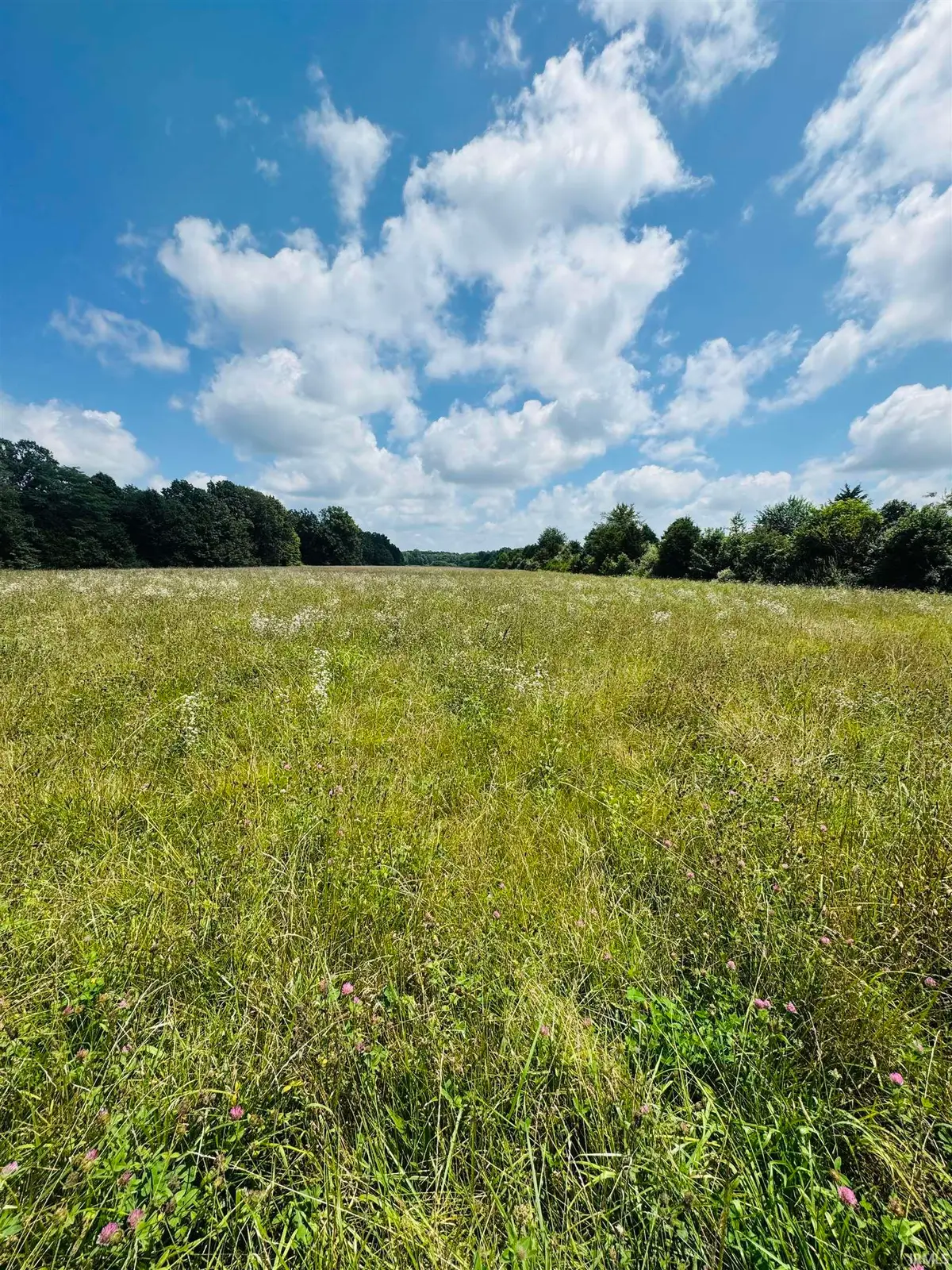 0 Bono Road Common, Terre Haute, IN 47802 - #1