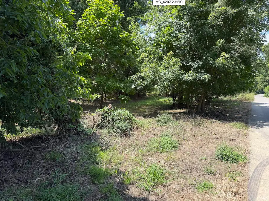W River Road, Patoka, IN 47666 - #2