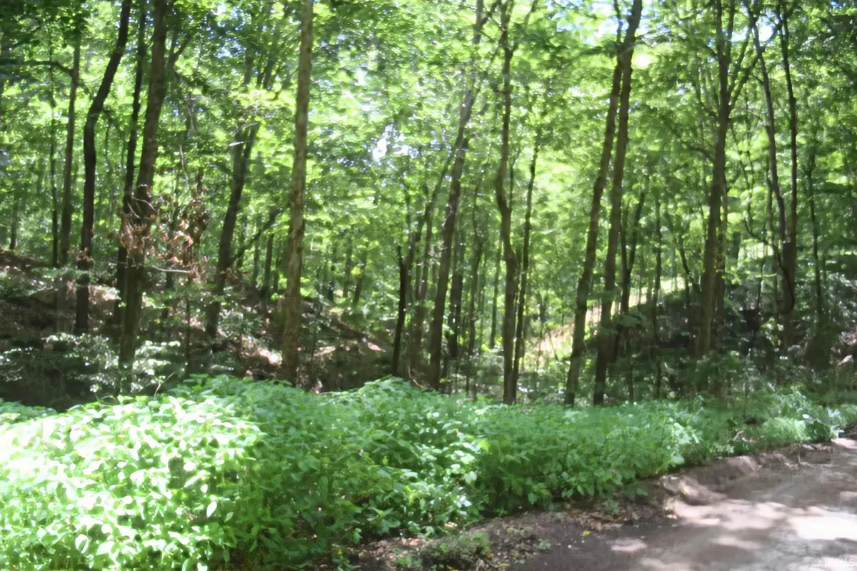 2716 Tunnleton Denniston Road, Bedford, IN 47421 - #1