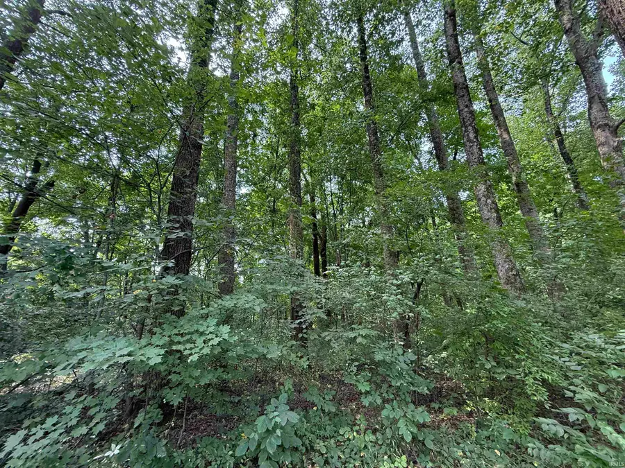 223 N St Rd 61, Winslow, IN 47598 - #3