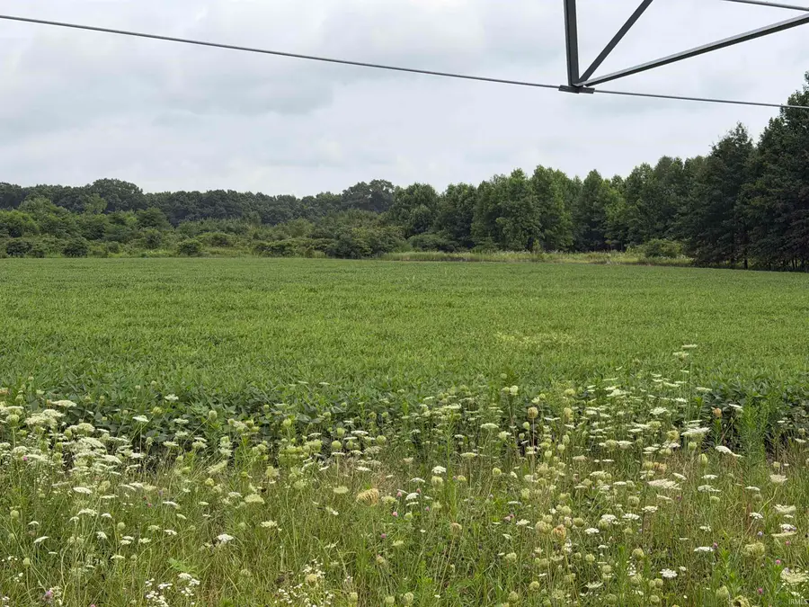 4415 N County Line Road, Grovertown, IN 46531 - #3