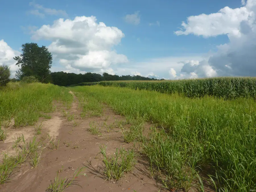 7505 S Old State Rd. 15 Road, Liberty, IN 46940 - #2