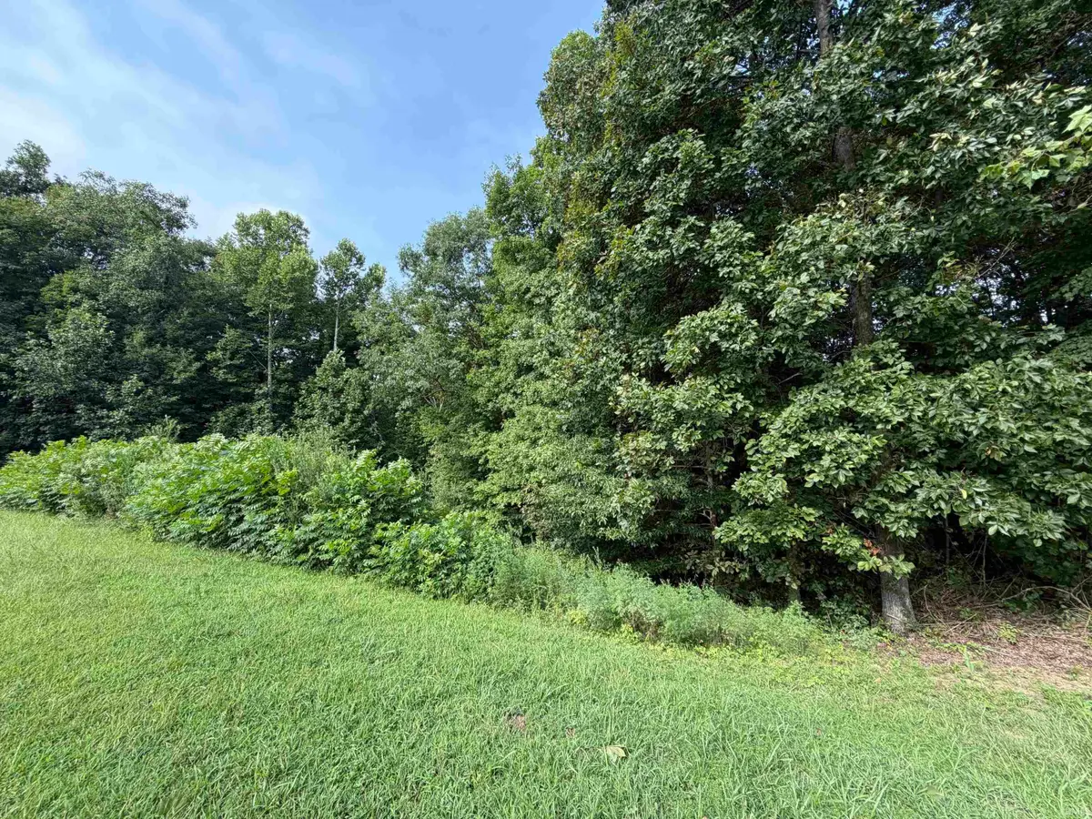 00 St Rd 257 Highway, Velpen, IN 47590 - #1