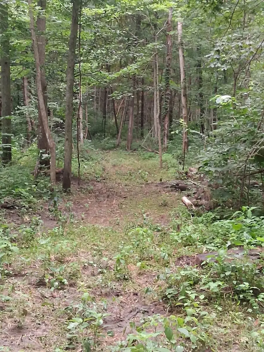 1076 N Country Club Road, Peru, IN 46979 - #3